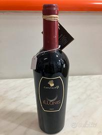 Aglianico Taburno DOC 2004 Caputalbus Benevento