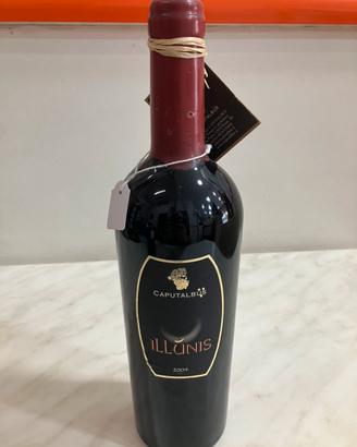 Aglianico Taburno DOC 2004 Caputalbus Benevento