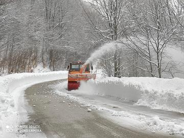 Fresa da neve totalmente revisionata