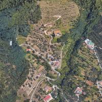 Struttura commerciale indipendente