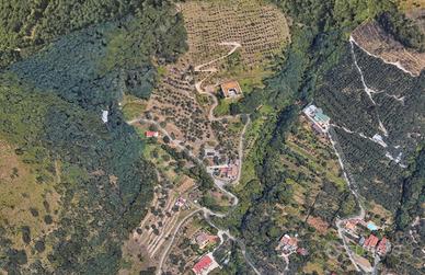 Struttura commerciale indipendente