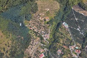 Struttura commerciale indipendente