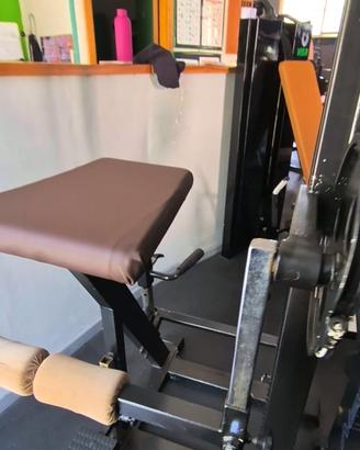 gluteus panatta