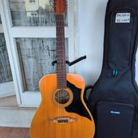 chitarra 12 corde SALTERIO folk 12