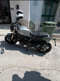 Leoncino 800