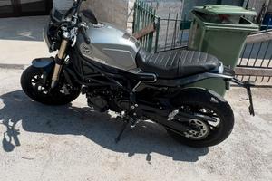 Leoncino 800