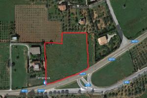 Terreno in Cda Bosco Falconeria Partinico