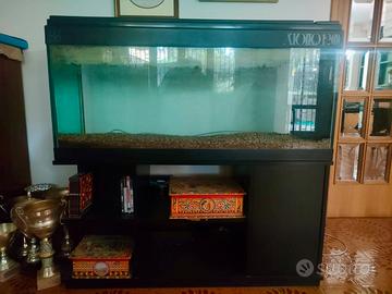 Acquario grande 300 litri Atollo 120