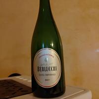 100 Bottiglie vuote vinificazione