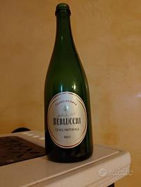 100 Bottiglie vuote vinificazione