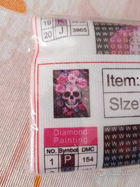 Diamond Painting Kit Completo 30x40 Teschio con Fi