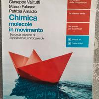 Libro Chimica Molecolare in Movimento 