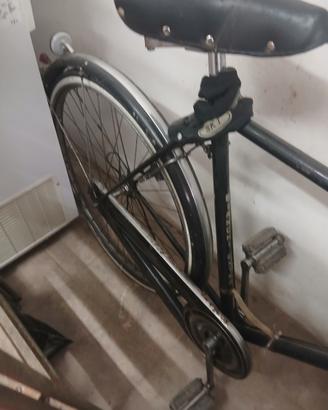 Bianchi extra