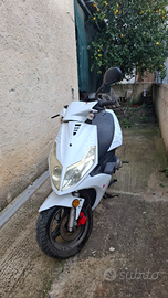 Scooter 50 2t generic
