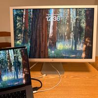Apple Cinema Display 24"