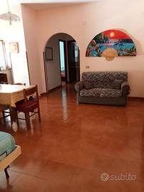 Santa maria del cedro festa del peperoncino diaman