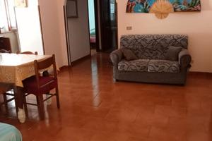 Santa maria del cedro festa del peperoncino diaman