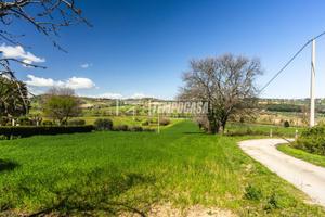 Terreno agricolo di 23500 mq