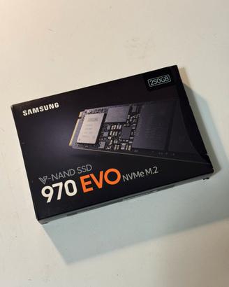 SSD Samsung 970 EVO 250GB