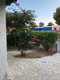 Appartamento libero luglio-settembre