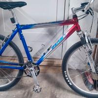 Mountain bike uomo