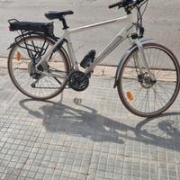 bicicletta elettrica