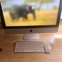 Imac 21,5 pollici anno 2010