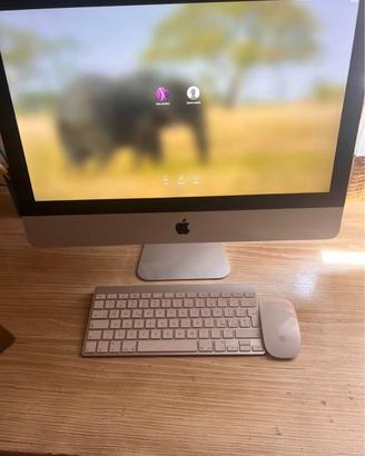Imac 21,5 pollici anno 2010