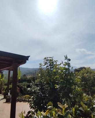 Villa Singola con 1.000 mq di Spazio Esterno