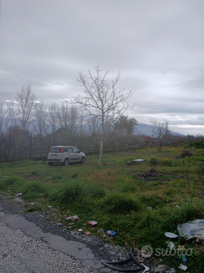 Terreno agricolo seminativo - Vista 3