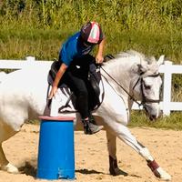 Pony per mounted games, pony games e salto ludico