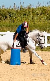 Pony per mounted games, pony games e salto ludico