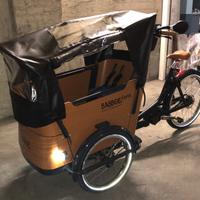 Cargo Bike Elettrica Babboe Curve Mountain