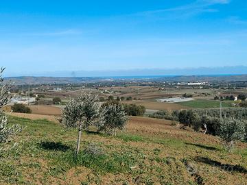 Terreno agricolo-oliveto