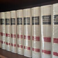 Grande dizionario enciclopedico + Grande dizionari
