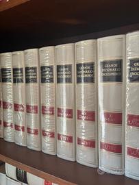 Grande dizionario enciclopedico + Grande dizionari