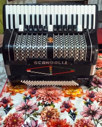 fisarmonica scandalli xiv