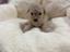 Immagine 24