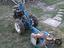 Immagine 2