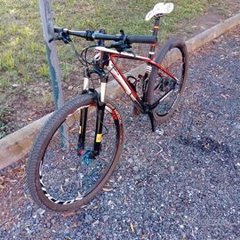 mtb carbonio sants da 29