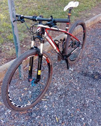 mtb carbonio sants da 29