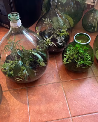 Terrarium e damigiane secorate