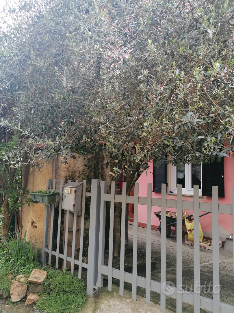 Appartamento – Biella, Vernato - Vista 2