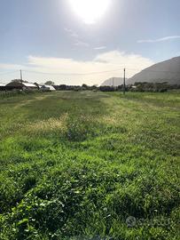Terreno agricolo
