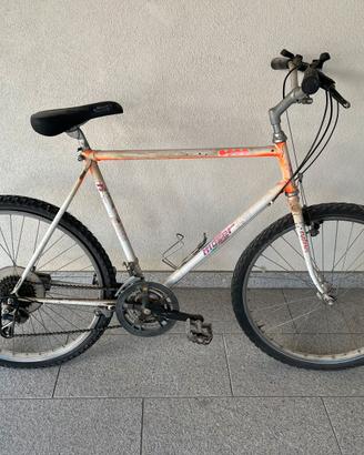 Bicicletta moser