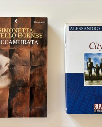 Set 2 romanzi Baricco - Hornby
