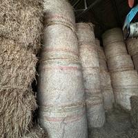 Fieno di avena e loietto in rotopresse 120x160