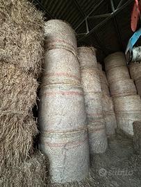 Fieno di avena e loietto in rotopresse 120x160