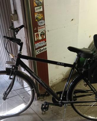Bicicletta adulto con seggiolino Polisport porta b