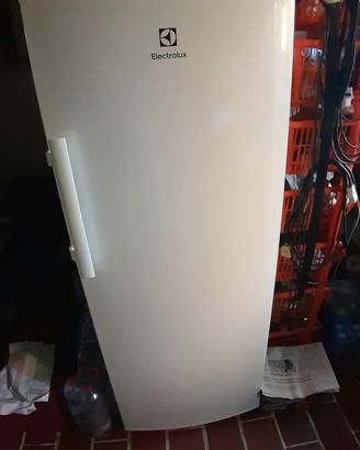 Congelatore Electrolux
